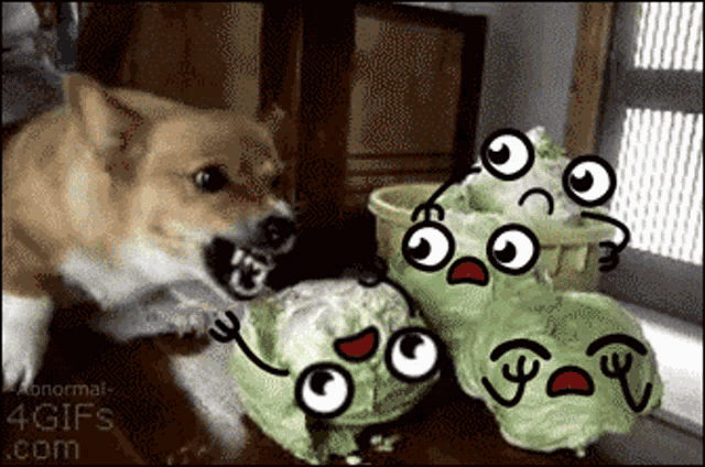 angry-vegetables.gif